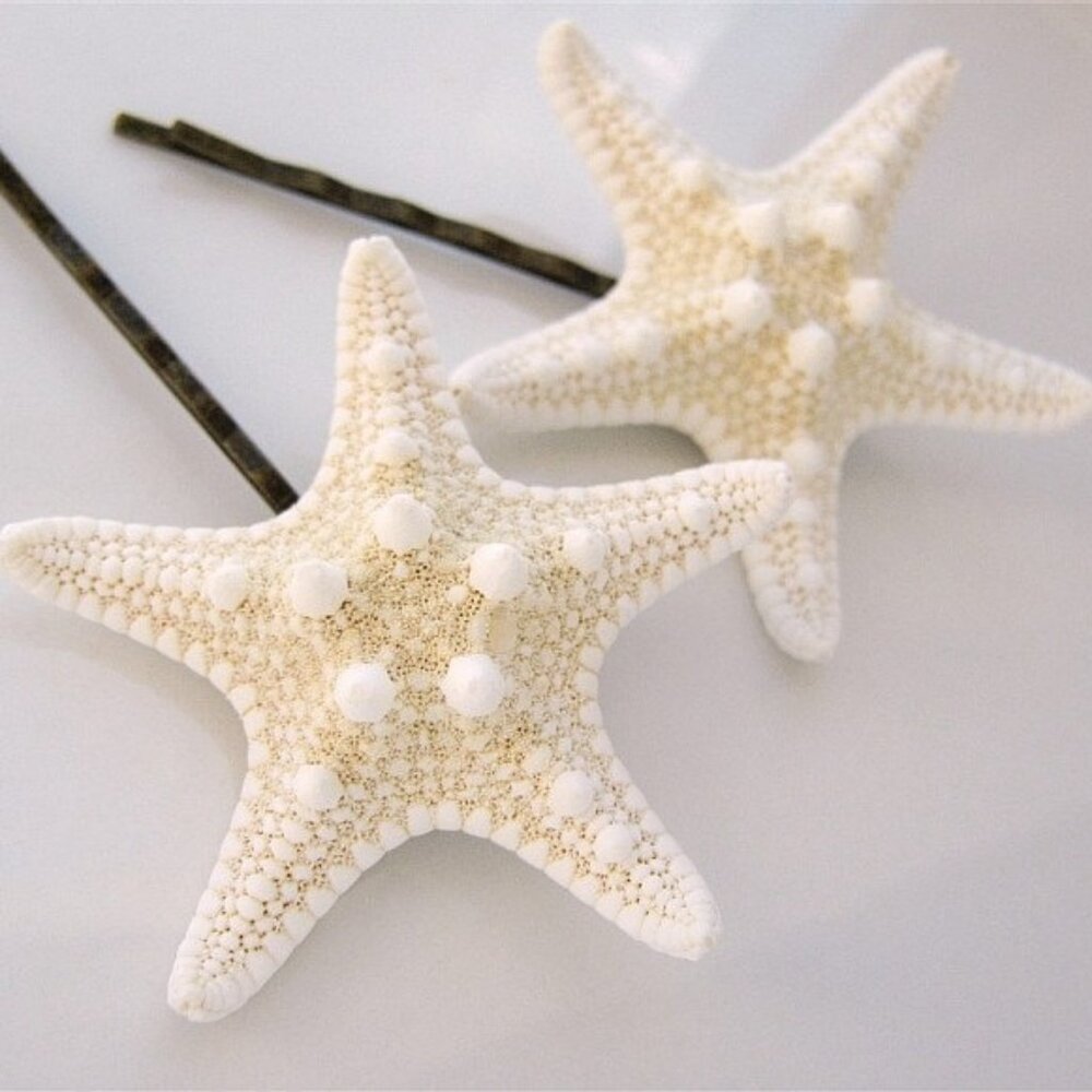 REAL STARFISH HAIRPINS